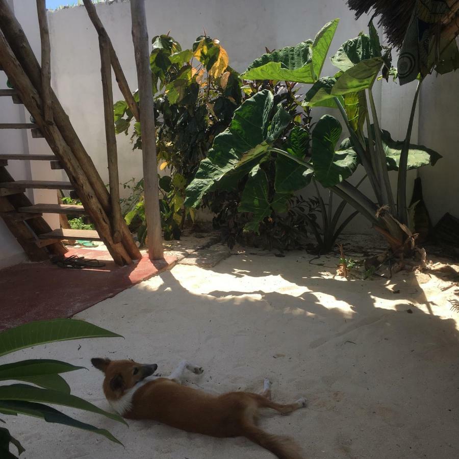 Bed & Breakfast Kilimani House Nungwi
